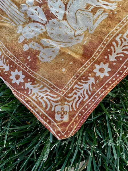 Sun-Dyed Desert-Scape Bandanas