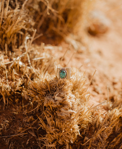 [ARCHIVES] Turquoise Wide Band (Size 5)