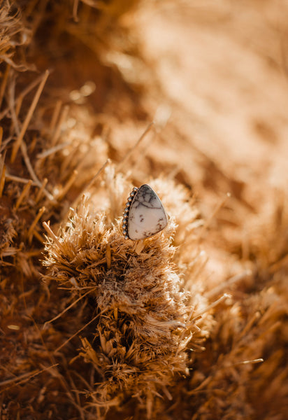 [ARCHIVES] (Dendritic Agate) (Size 8)