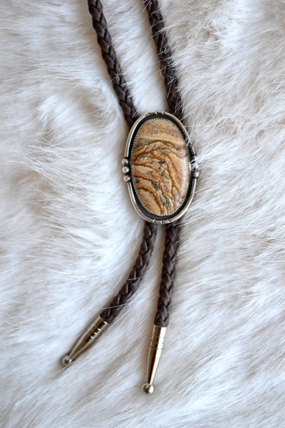 [ARCHIVES] Picture Jasper